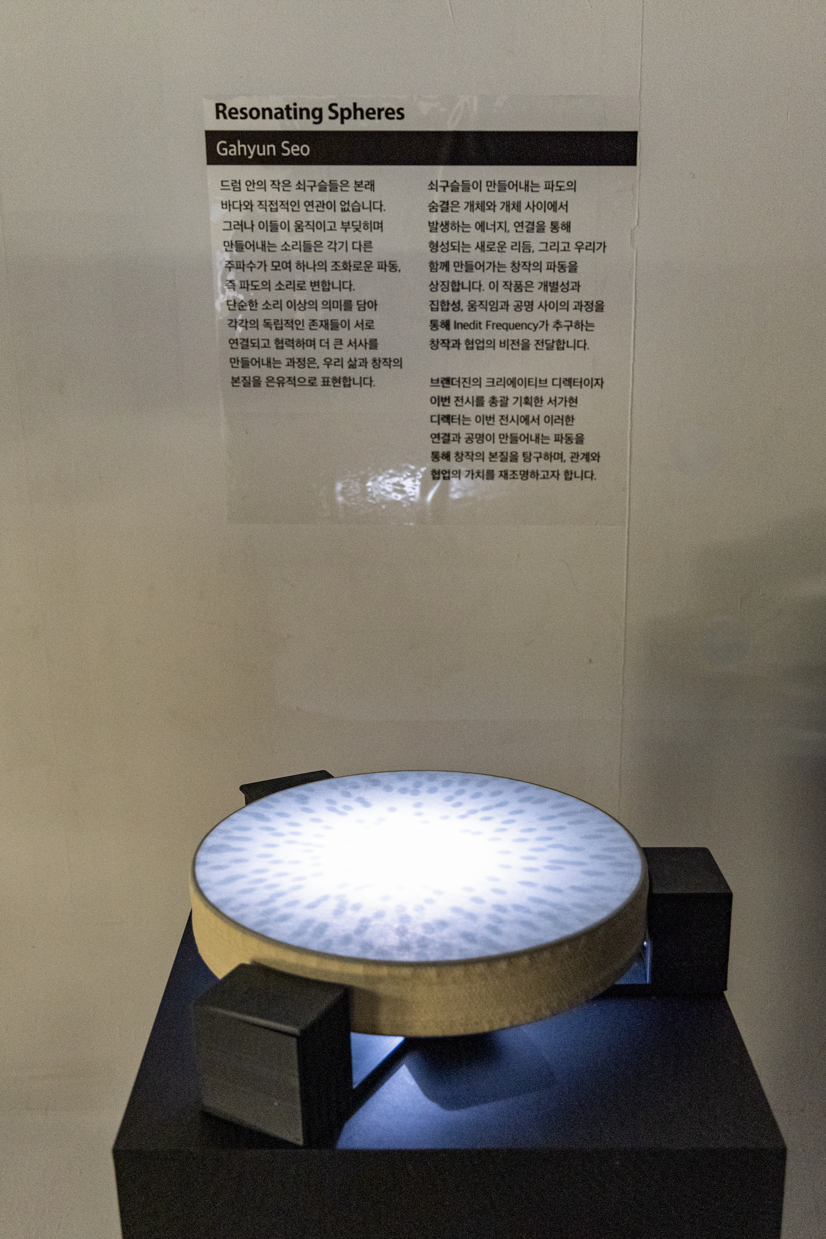 브랜더진<INEDIT FREQUENCY> 13