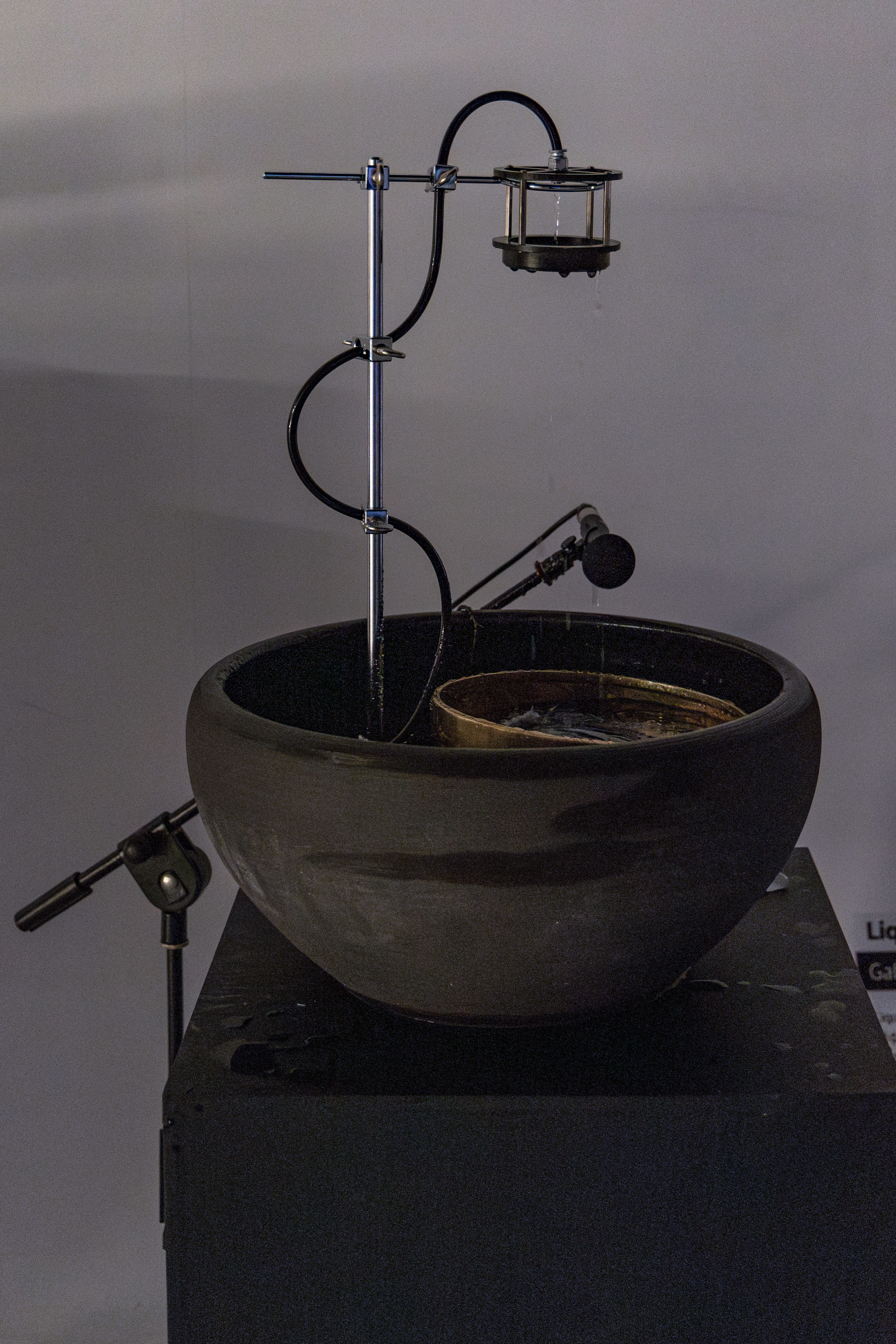 브랜더진 <INEDIT FREQUENCY>_<Liquid Frequencies> 2