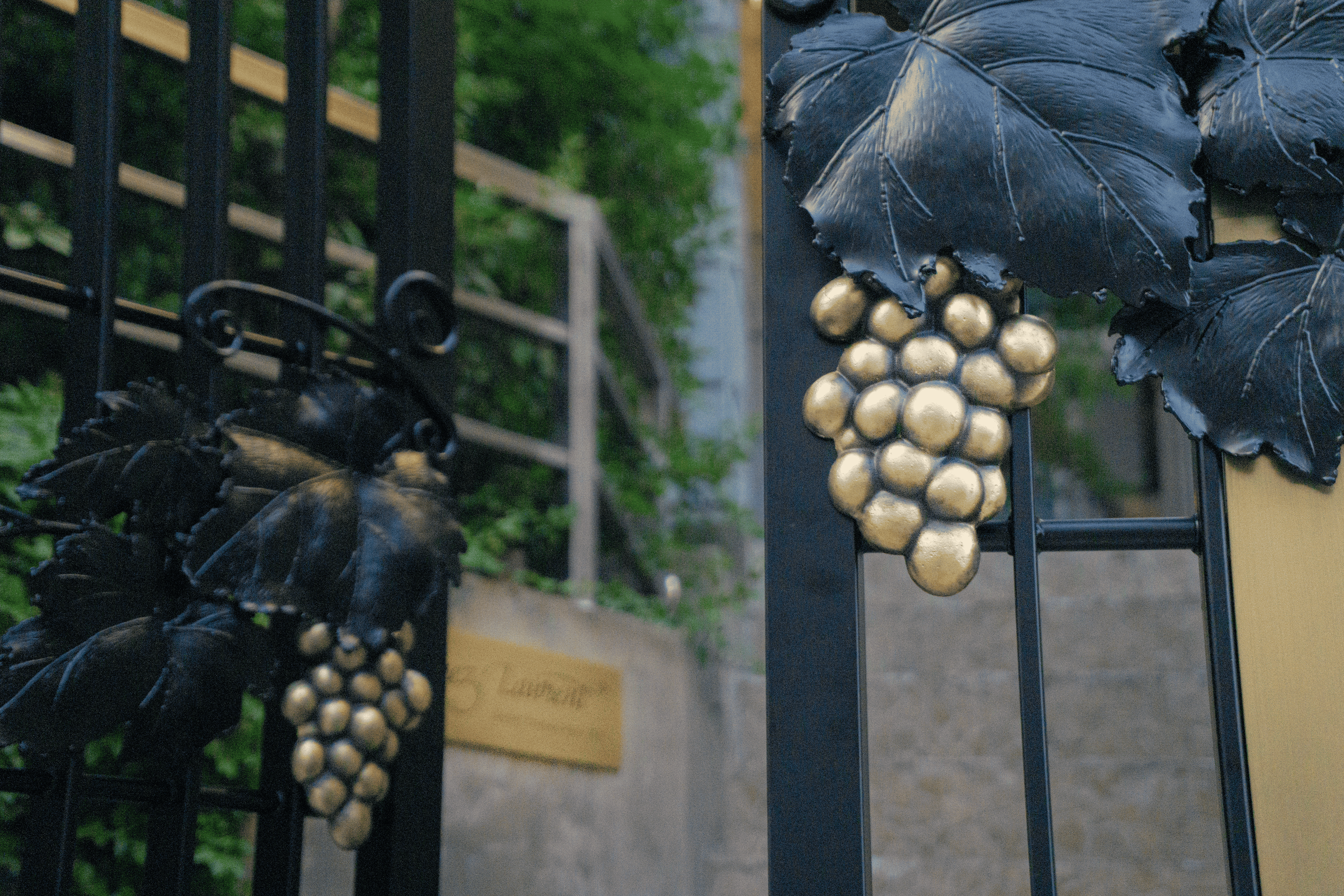 Chez Laurent <Signature Entrance> 7